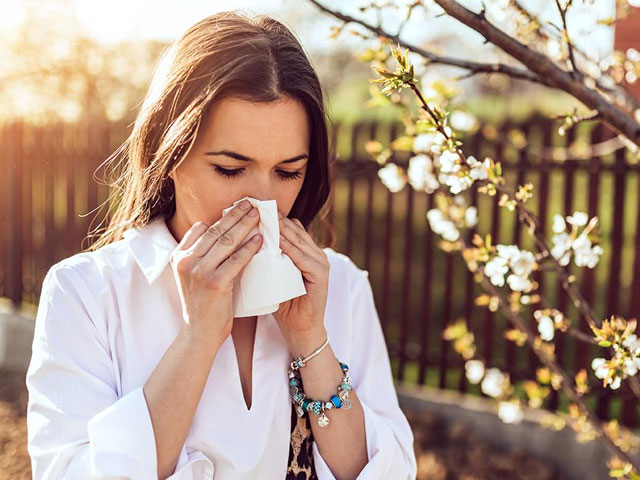 What is Pollen Allergy