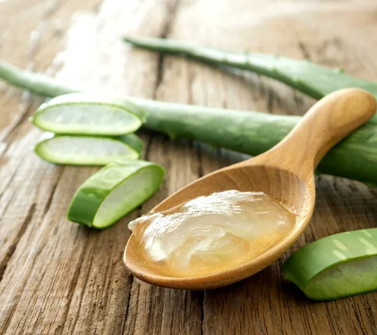 What are the Benefits of Aloe Vera Gel?